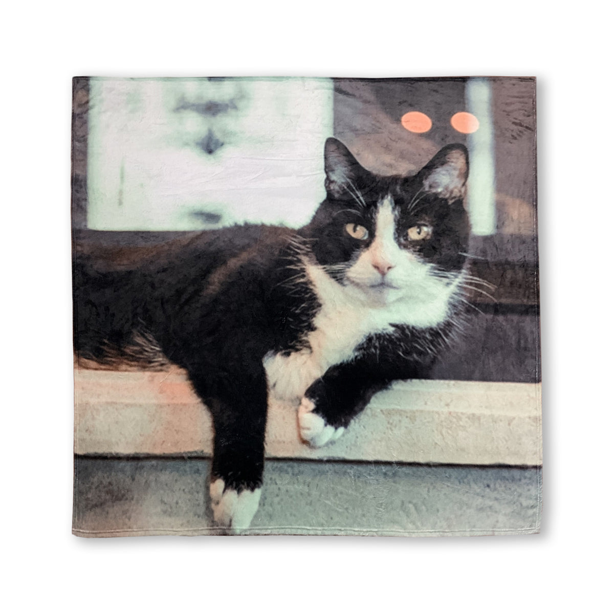 professor meowingtons ultra plush blanket