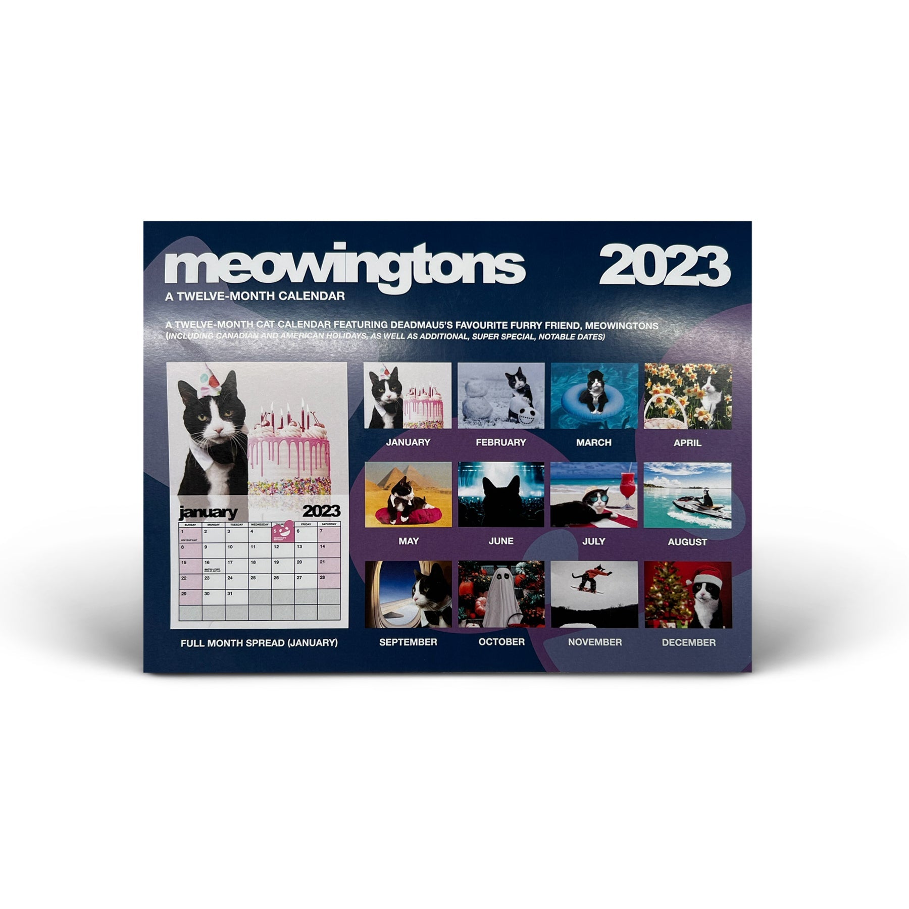 meowingtons 2023 calendar