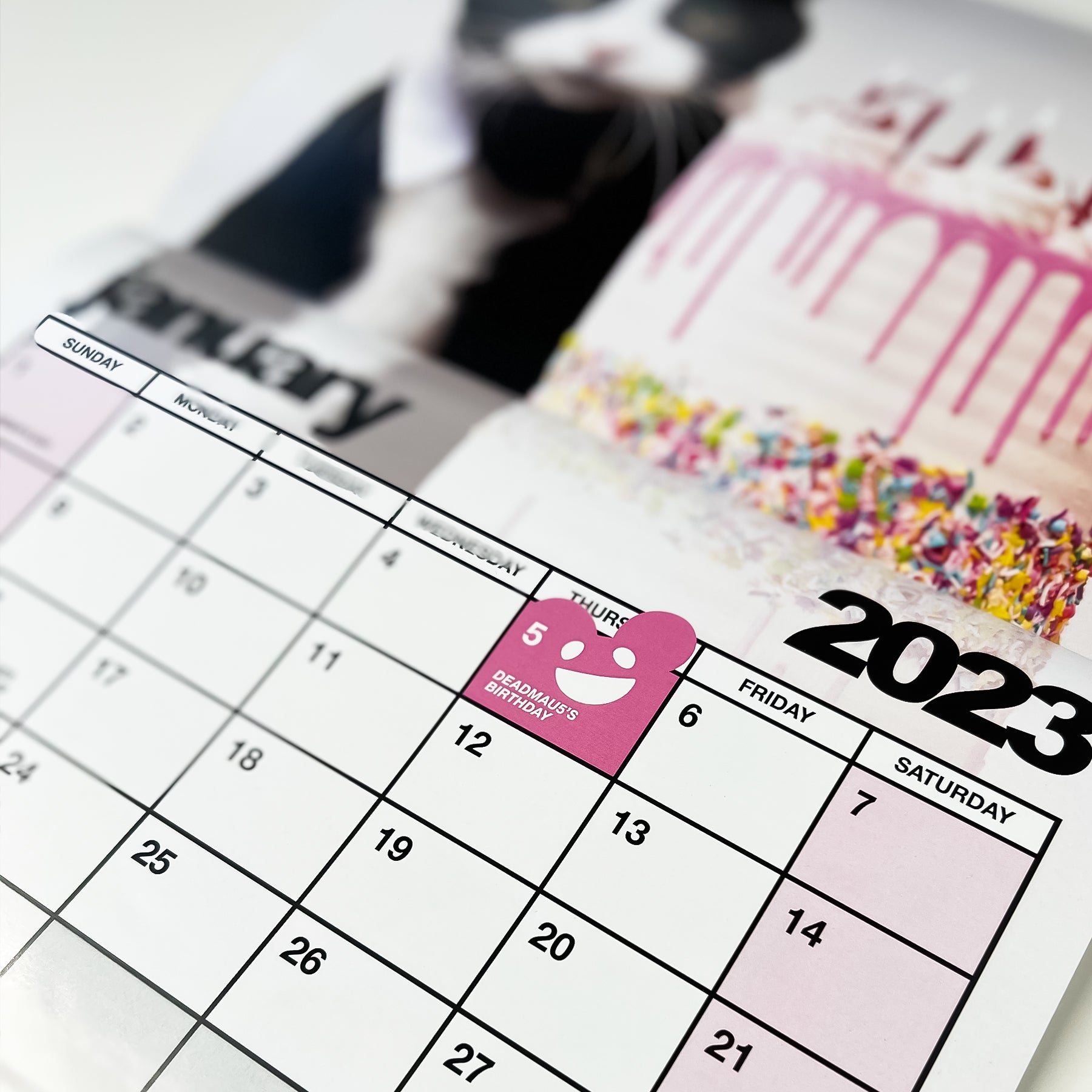 meowingtons 2023 calendar