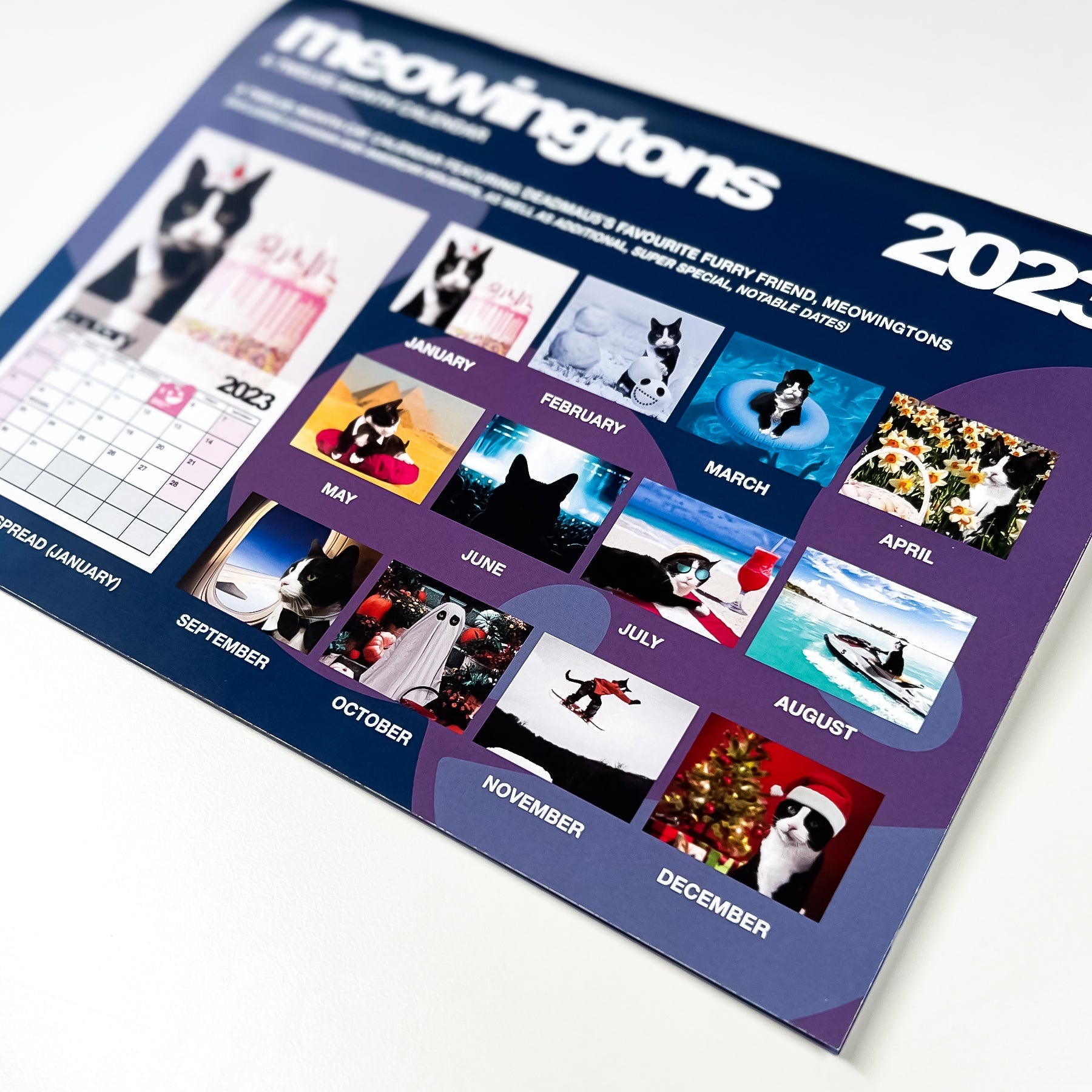 meowingtons 2023 calendar