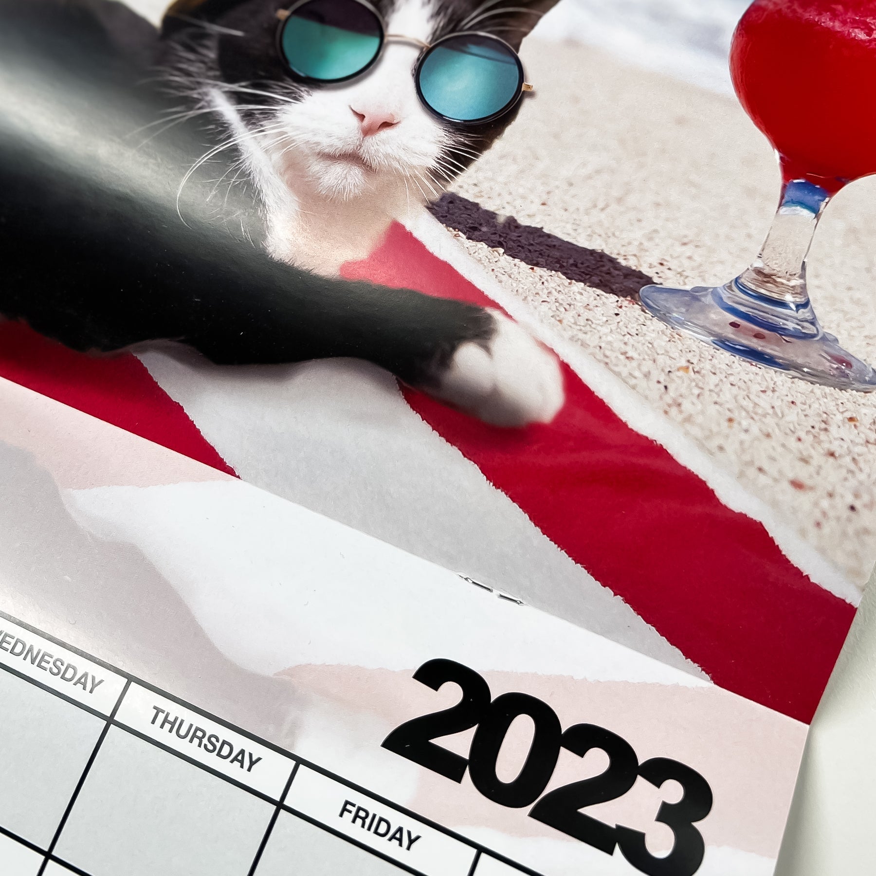 meowingtons 2023 calendar
